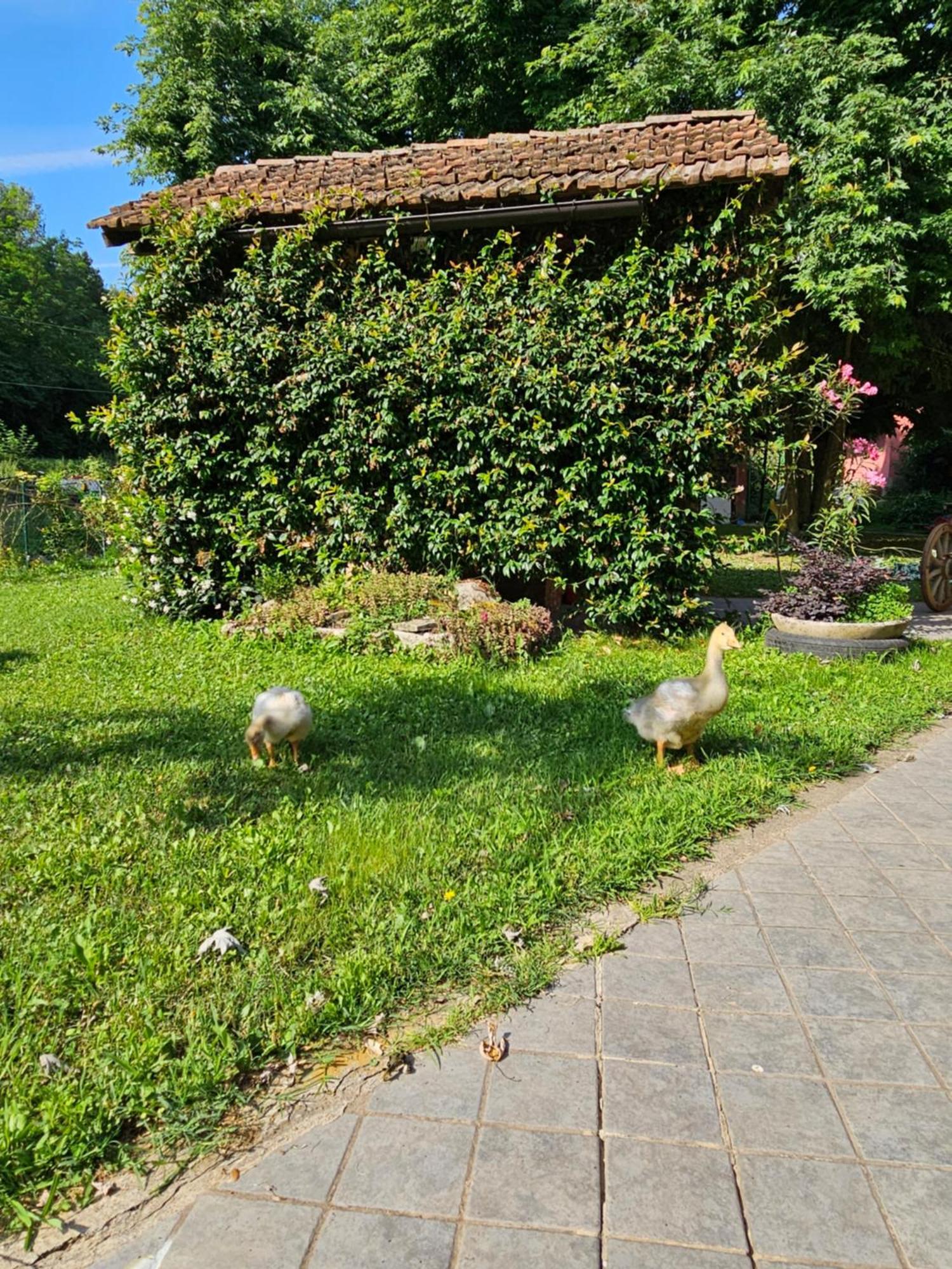 Willa Agriturismo La.Ti.Mi.Da. Cassine Zewnętrze zdjęcie