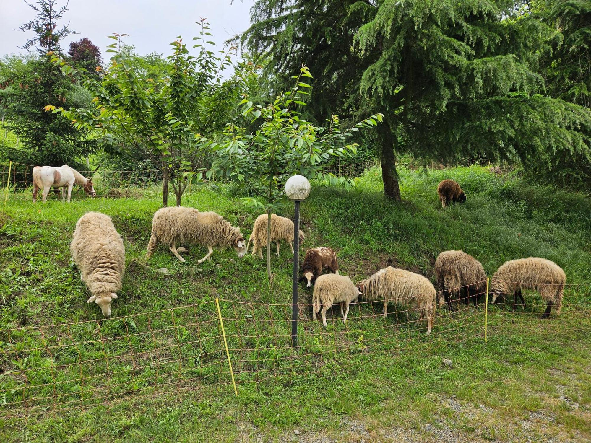 Willa Agriturismo La.Ti.Mi.Da. Cassine Zewnętrze zdjęcie